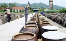 Nước mắm Sá Sùng: Đặc sản huyện đảo Vân Đồn, Quảng Ninh