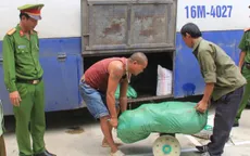 Bắt giữ nửa tấn nội tạng động vật, bì lợn đã bốc mùi hôi thối