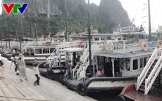Cháy tàu hạng sang, Quảng Ninh siết chặt quản lý tàu vỏ gỗ