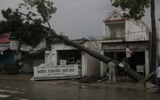 TP.HCM: Dông lốc quật ngã nhiều cây xanh, nhiều nhà dân tốc mái