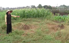 Vụ nghĩa trang bãi Xém: UBND Quận Long Biên khẳng định là đúng về mặt pháp lý