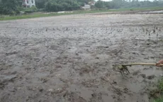 Phú Thọ: Dân bỏ trắng ruộng vì nhà máy xử lý rác gây ô nhiễm