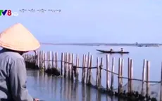 Hiệu quả từ các khu bảo vệ thủy sản
