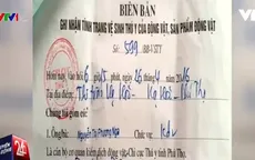 Nở rộ hoạt động mua bán... giấy kiểm dịch