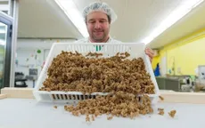 Bất ngờ với món mì pasta được làm từ côn trùng