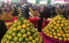 500 tấn cam Cao Phong được bán trong ngày khai mạc