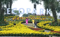 Khai mạc Lễ hội hoa Xuân lớn nhất miền Bắc