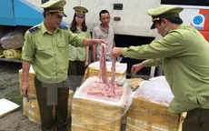 Tiêu hủy hơn 1,4 tấn lòng lợn thối tại Bình Dương