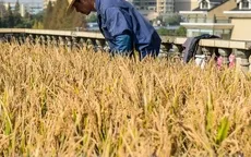 ADB hỗ trợ Campuchia phát triển nông nghiệp
