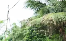 Nghệ An: Thị xã Thái Hòa đạt nông thôn mới có lưới điện... cũ