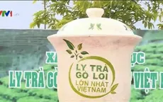 Xác lập 3 kỷ lục Guinness Việt Nam mới