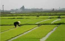 Chuẩn bị nước sản xuất vụ Đông Xuân