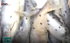 Phạt cơ sở làm mắm sử dụng nguyên liệu mất vệ sinh tại Vĩnh Long