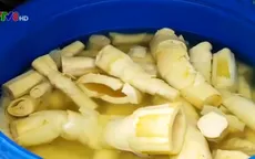 Đà Nẵng công bố 7 mẫu dưa có chất vàng ô