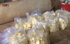 Tịch thu gần 300kg măng tươi ngâm hóa chất tại Bình Phước