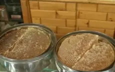 Ngành sản xuất mật ong của Yemen chao đảo do nội chiến