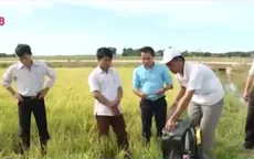 Độc đáo chiếc máy bắt chuột sử dụng... ớt bột