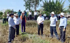 Bộ trưởng Cao Đức Phát kiểm tra công tác chống hạn Kon Tum