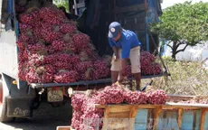 Giá hành tím Sóc Trăng tăng gấp 4 lần