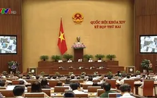 Cần quy định rõ vấn đề về xử lý tội phạm ma túy trong Bộ luật Hình sự