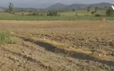 Gánh nặng chi phí trồng mía gia tăng