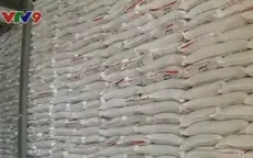 Nỗi lo thiếu nguồn nguyên liệu cho các nhà máy đường