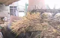 Nhiều nhà máy đường ở Hậu Giang ngưng hoạt động vì thiếu nguyên liệu