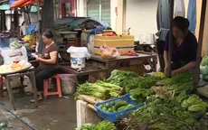 TP.HCM: Hàng nghìn người hưởng lợi từ chính sách miễn lệ phí môn bài