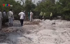 Hàng trăm ngôi mộ giả bất ngờ xuất hiện trong khu rừng quy hoạch