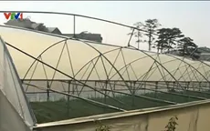 Mưa đá, lốc xoáy quét qua Đà Lạt