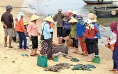 Quảng Bình: Ngư dân khó tiêu thụ hải sản xa bờ sau sự cố môi trường