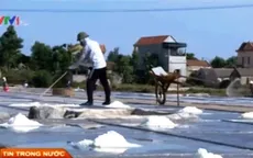 Bến Tre: Sản xuất lạc hậu khiến nghề muối gặp khó