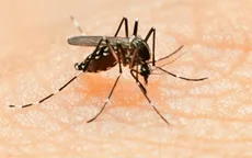 Microsoft sáng tạo vợt diệt muỗi Zika