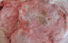Hà Nội: Bắt giữ hơn 1 tấm nầm lợn không rõ nguồn gốc đang trên đường tiêu thụ