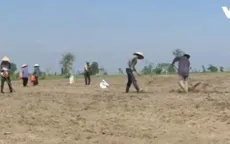 Nhọc nhằn mưu sinh mùa nắng nóng ở miền Trung