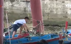 Vì sao ngư dân Khánh Hòa neo đậu tàu thuyền sai quy định?
