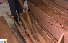 Hơn 4 tấn ngà voi bị bắt giữ trong hơn 1 tháng tại TP.HCM