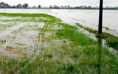 Thừa Thiên-Huế triển khai tiêu úng, chống ngập