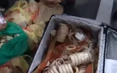 Triệt phá đường dây vận chuyển trái phép ngà voi từ Angola về Việt Nam