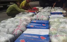 Nghệ An: Tiêu hủy hàng tấn rau quả nhập lậu từ Trung Quốc