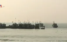 Ngư dân Đà Nẵng ra quân đánh bắt hải sản