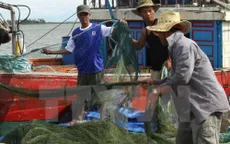Đề nghị xây dựng bản đồ vùng biển cấm ở 4 tỉnh miền Trung