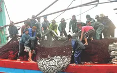 Bổ sung kinh phí giải quyết sự cố môi trường tại miền Trung