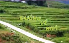 “Đường về nhà” đoạt giải thưởng World Television Awards