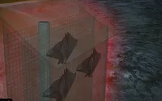 Mỹ lắp đặt nhà nuôi dơi ngăn chặn lây lan Zika