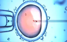 26 phụ nữ bị cấy nhầm tinh trùng tại Hà Lan