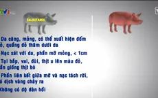 Cách nhận biết thịt lợn có chất salbutamol