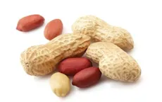 Việt Nam tiếp tục nhập khẩu lạc nhân từ Ấn Độ