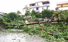 Bão số 1 khiến EVN thiệt hại gần 400 tỷ đồng