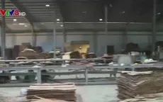 Tạm đình chỉ công ty xảy ra vụ nổ làm 11 người bị thương
